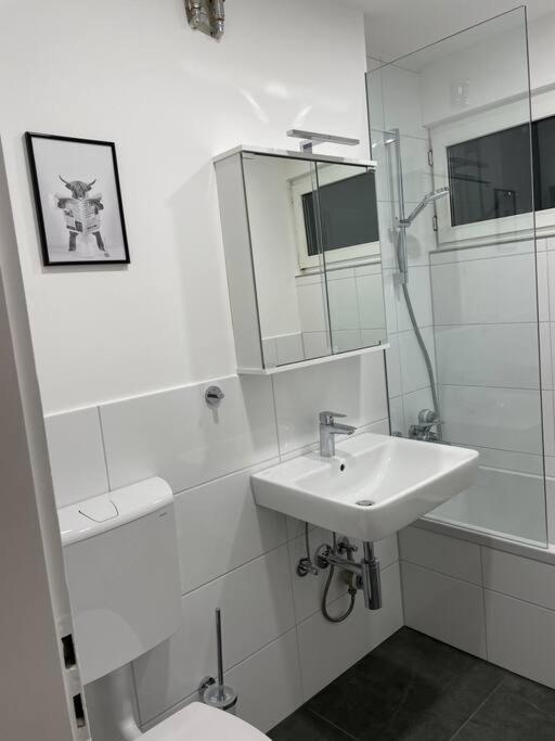 Penthouse, Offenburg,Europaparkアパートメント エクステリア 写真